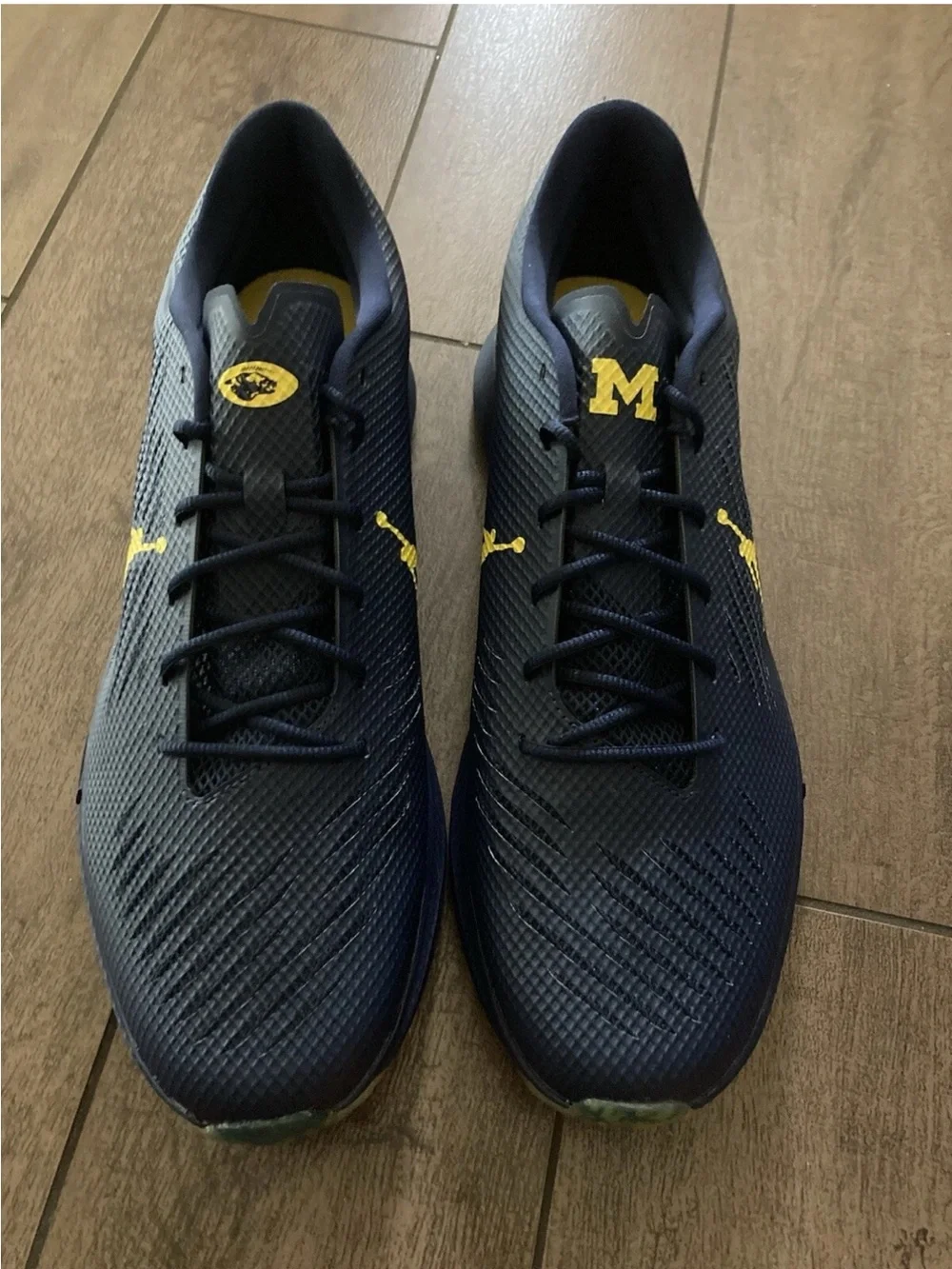 Nike Air Jordan Vapor Edge Turf Cleats 'Michigan Wolverines' CV1670 400 Sz 16